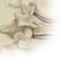 Orthopaedic Live CME events