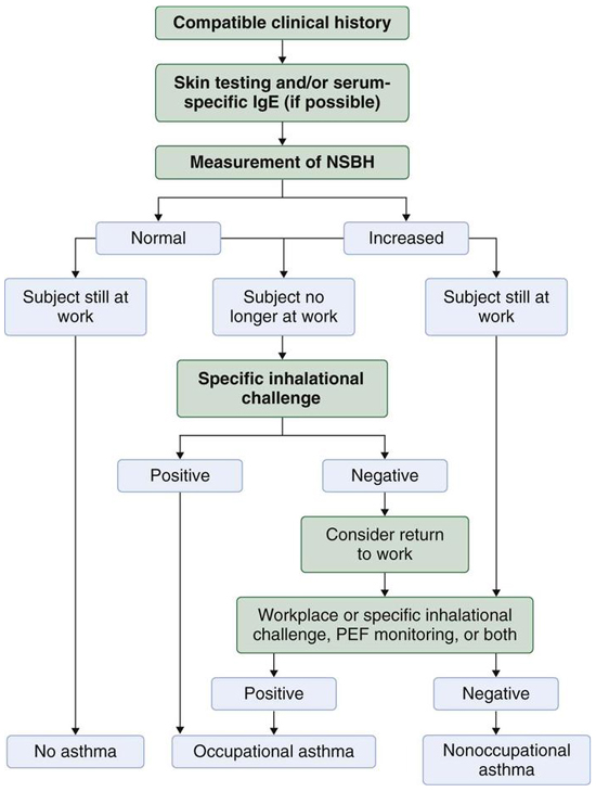 Asthma Pathophysiology Flow Chart