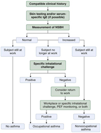 Algorithm to aid in the diagnosis of occupational asthma