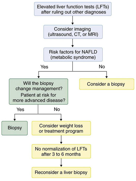 Normal Liver Enzymes Levels Chart