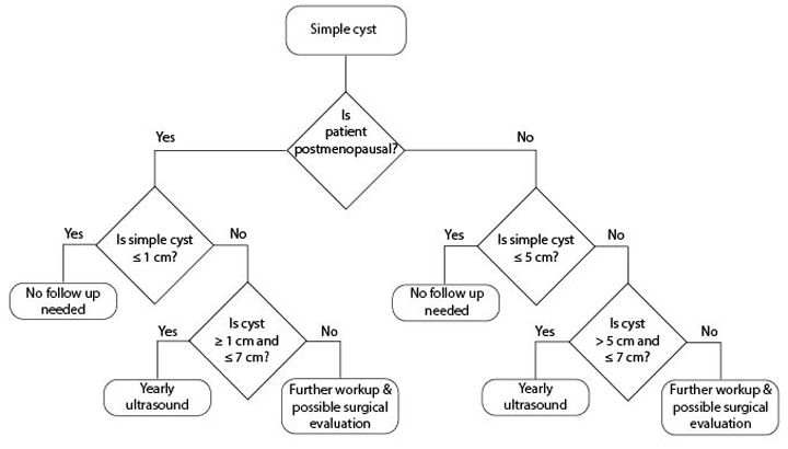 Ovarian Cyst Size Chart