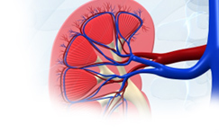 Hypertension