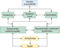 ventricular fibrillation