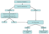 Diagnostic algorithm for Hepatitis C infection