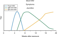 HAV serology in relation to signs and symptoms