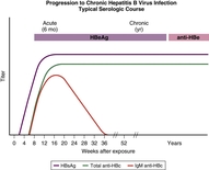 Serologic course of chronic hepatitis B