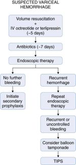 Mangement of acute variceal hemorrhage. TIPS: transjugular intrahepatic portosystemic shunt.