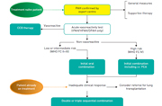 Figure 2: Simplified Treatment Approach for Pulmonary Arterial Hypertension.